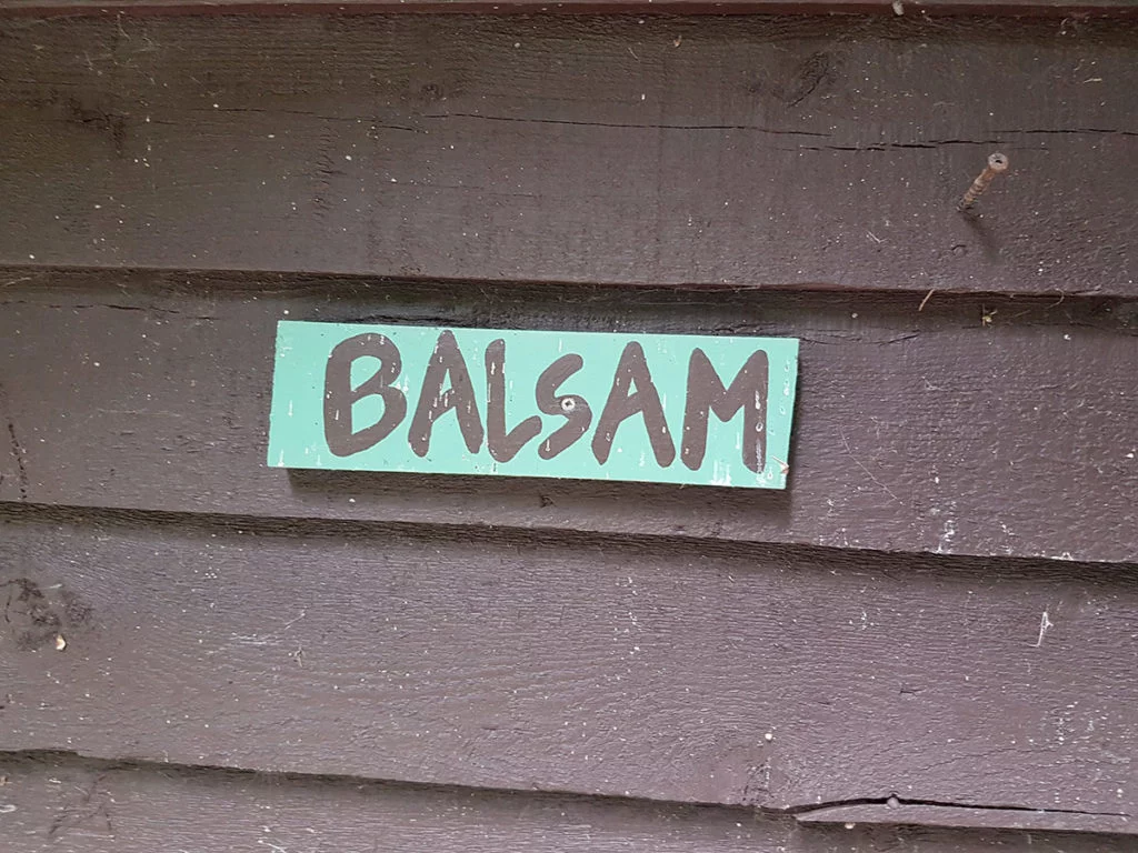 Balsam